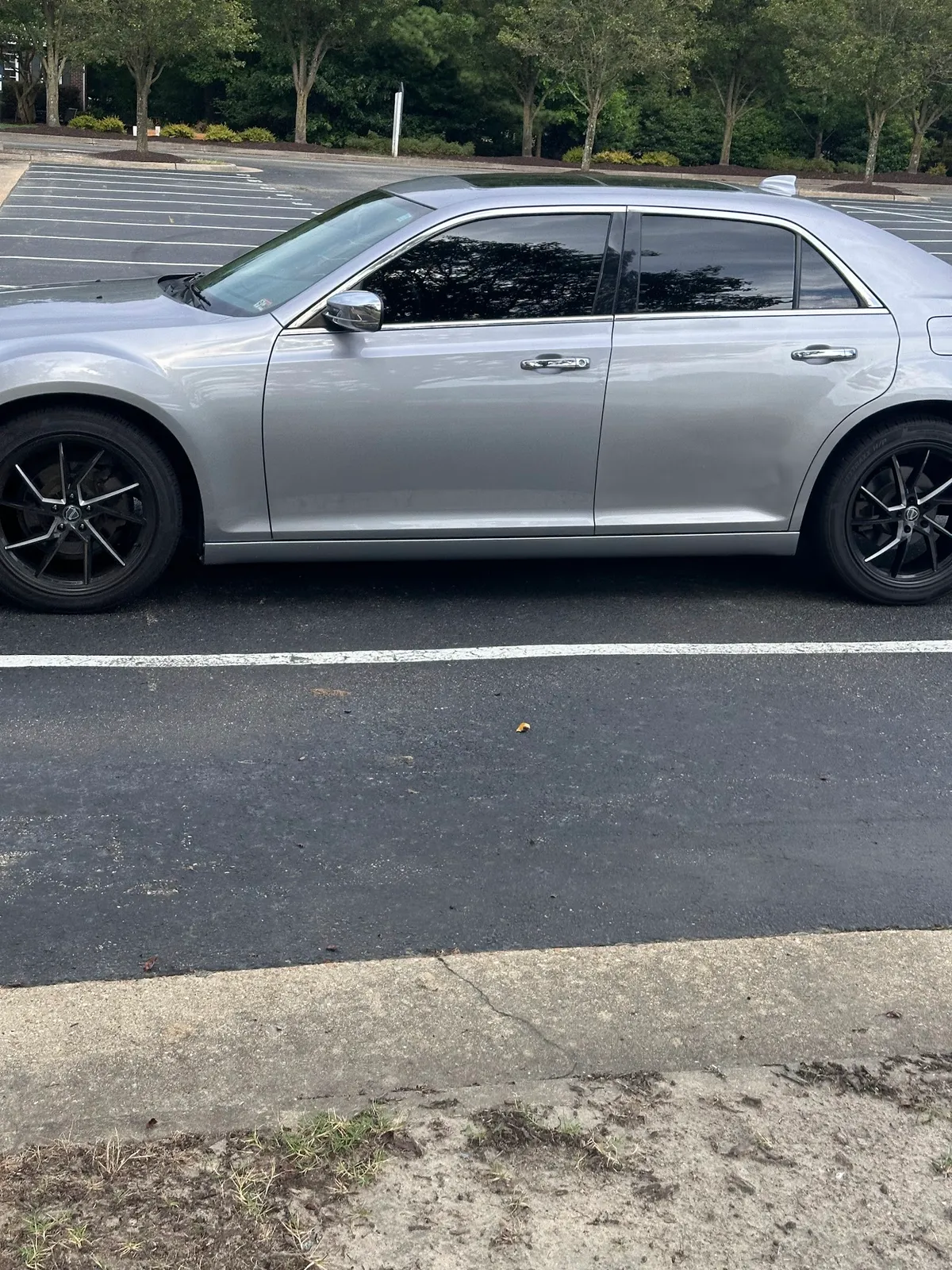 Gallery image 2